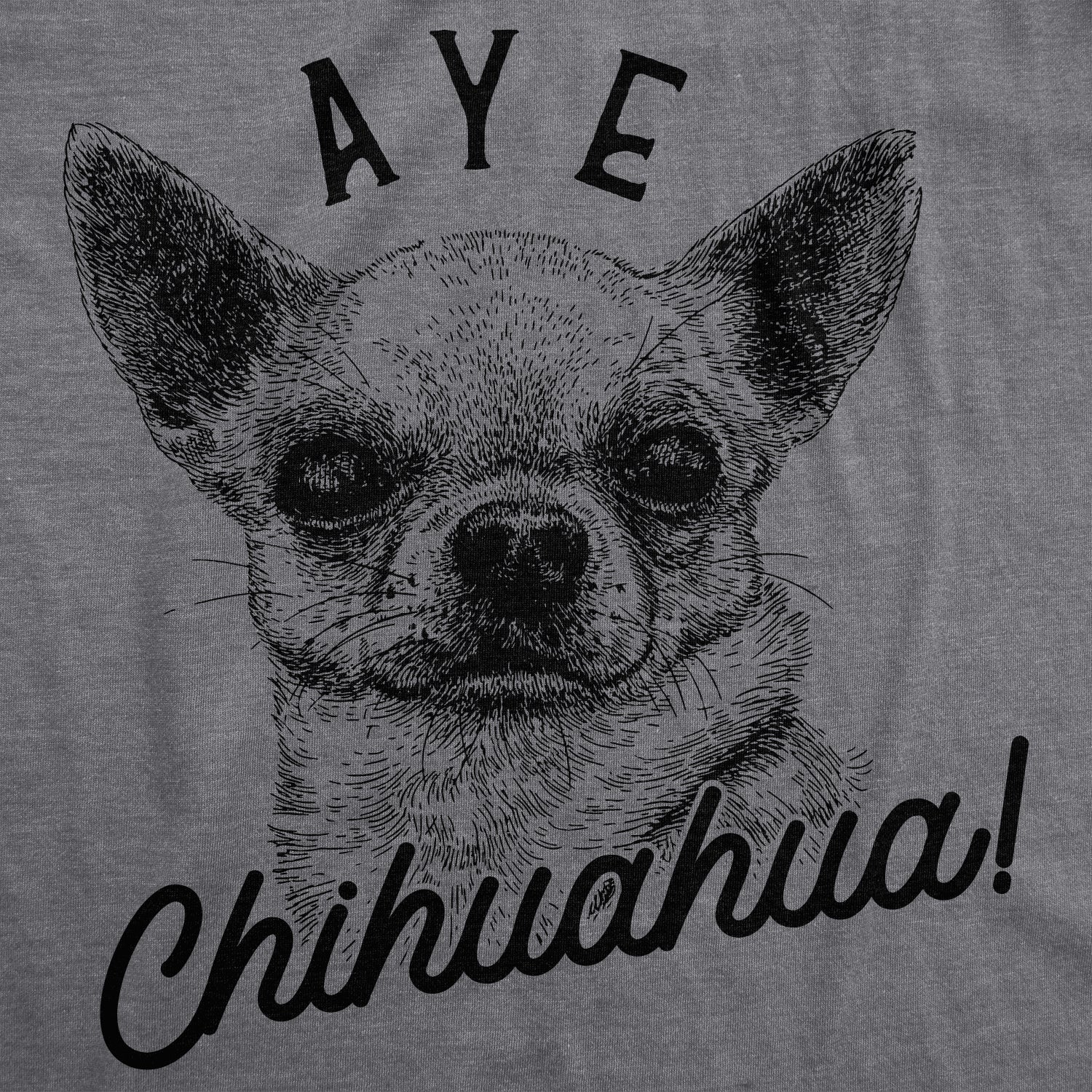 019_20aye_20chihuahua_details_20dhg_b08e7a51-2266-477b-a511-dbfacfe4fdc5