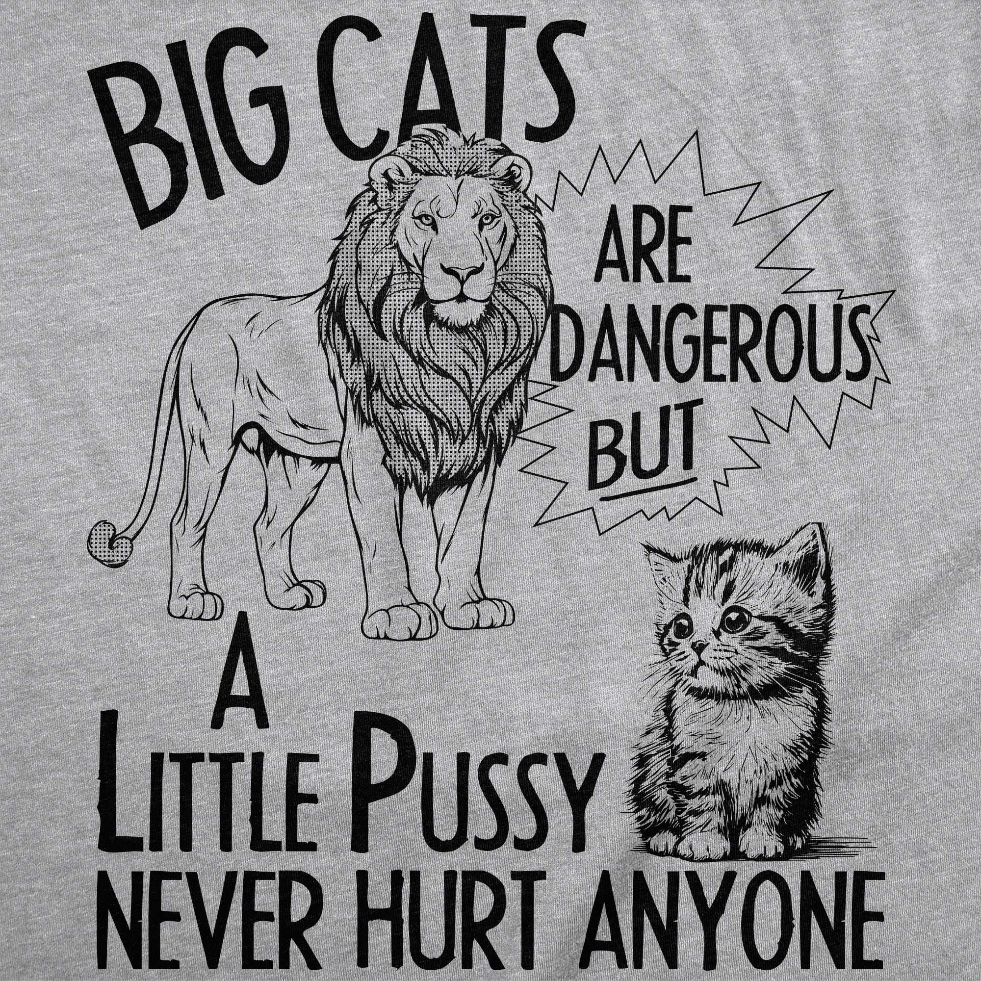 025-alittlepussyneverhurtanyone-hlg-details