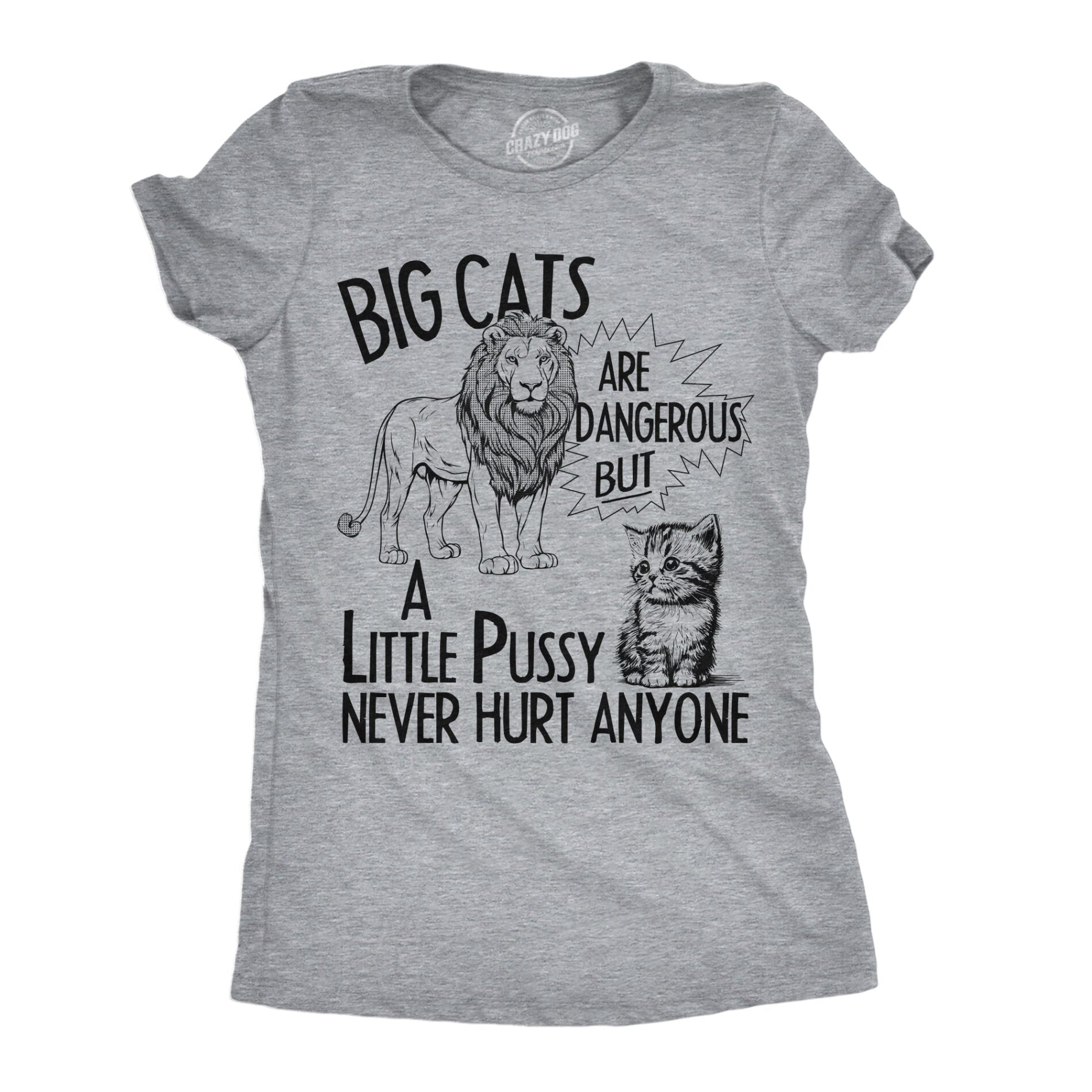 Big Cats Are Dangerous But A Little Pussy Never Hurt Anyone Women’s T Shirt