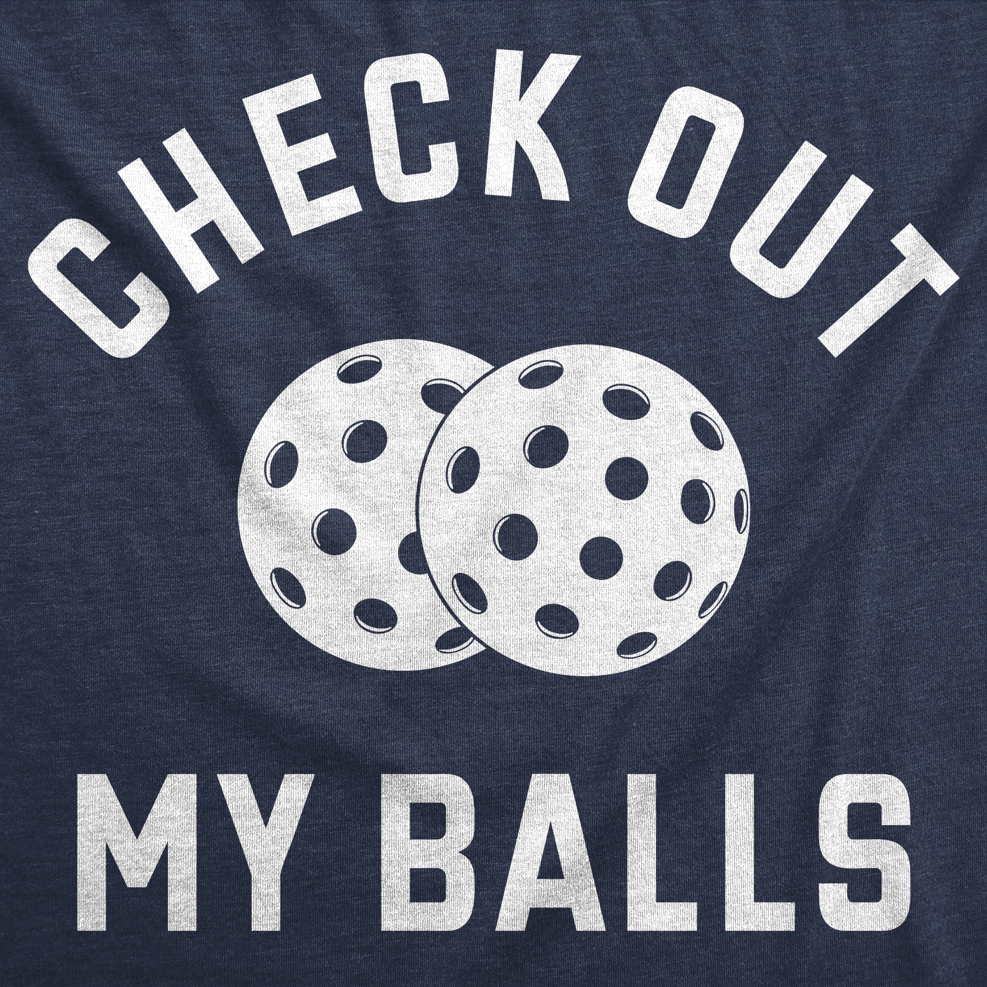 025_20check_20out_20my_20balls_20pickleball_20details_20hn