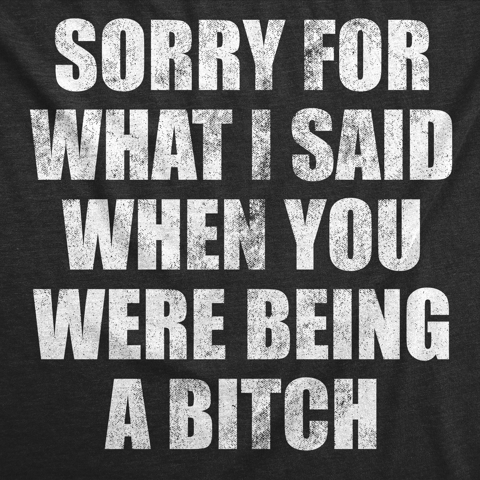 025_20sorry_20for_20what_20i_20said_20when_20you_20were_20being_20a_20bitch_20details_20hblk