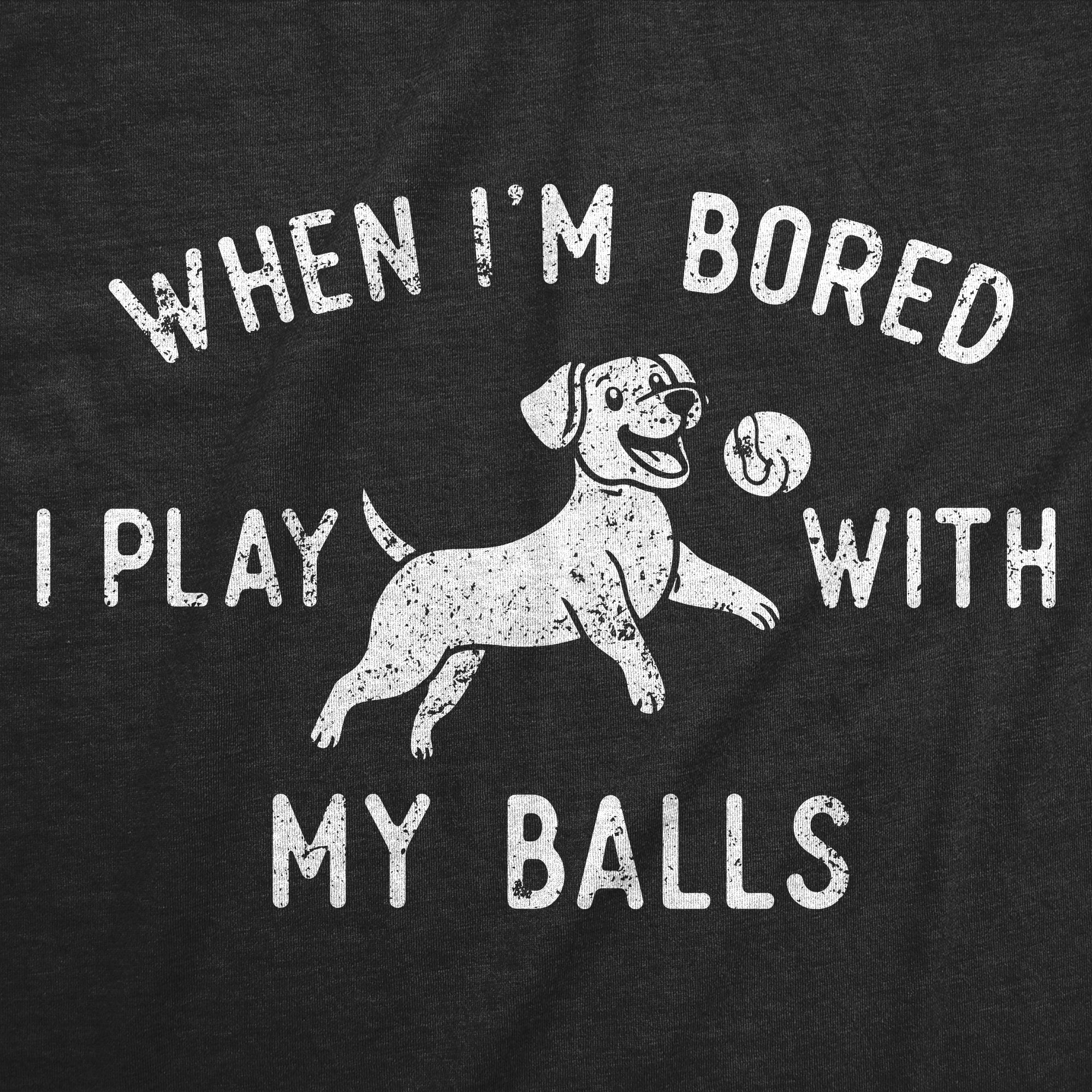 025_20when_20i_27m_20bored_20i_20play_20with_20my_20balls_20details_20hblk