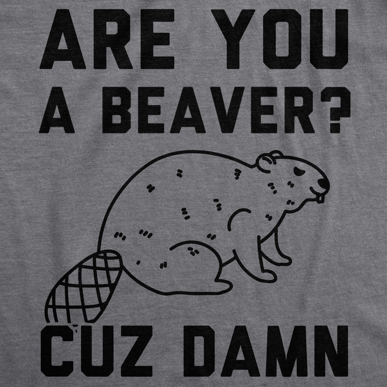 beaverdamndetails