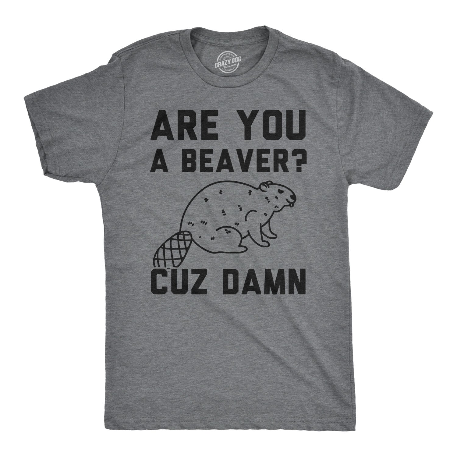 beaverdamnm